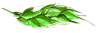 wheat_icon