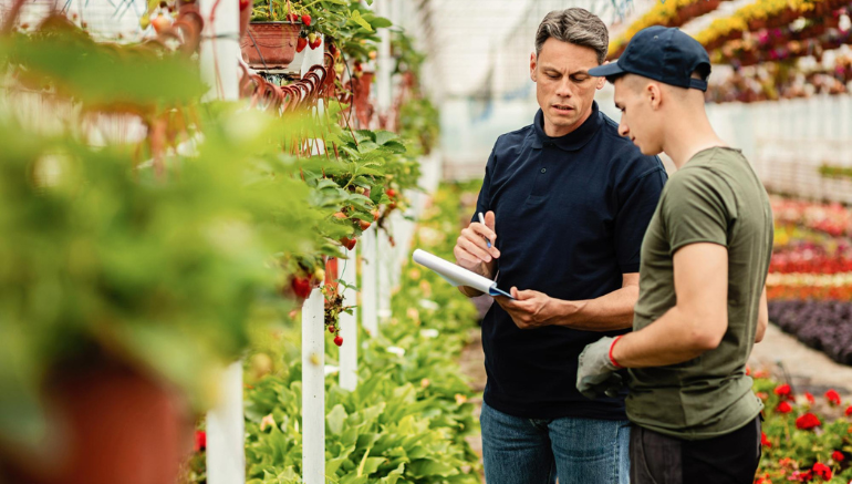 Market Updates & Consultation