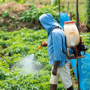 Pest & Disease Diagnosis