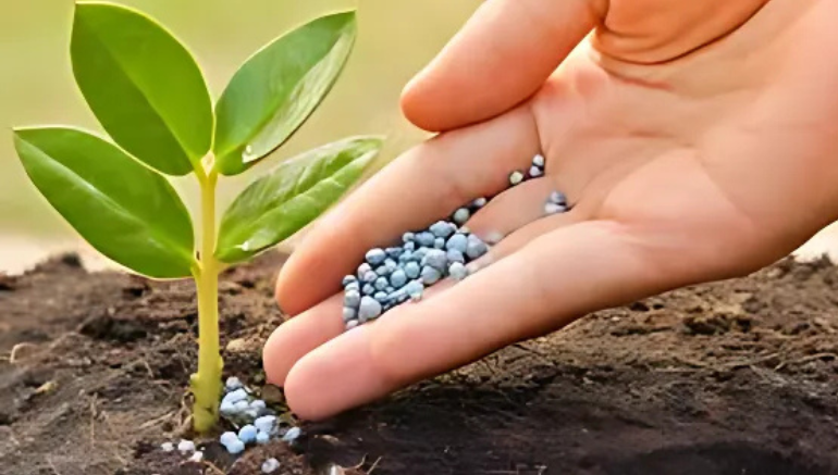 Seed and fertilizers