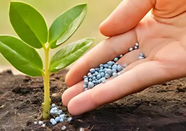 Seeds and fertilizers