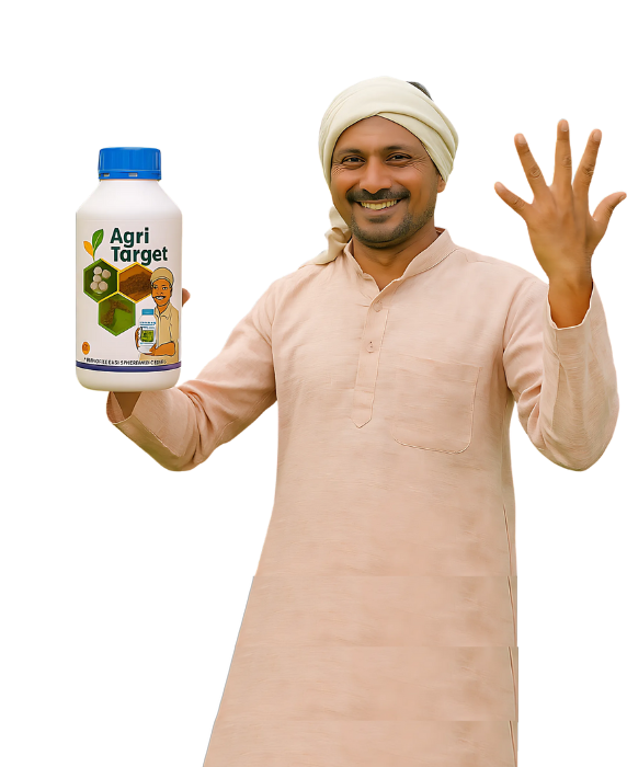 hero-section-image_isnet-anime